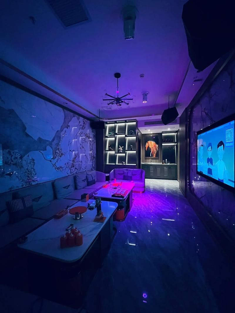 上饶商务ktv，尽享商务玩法-弋阳县ktv预订